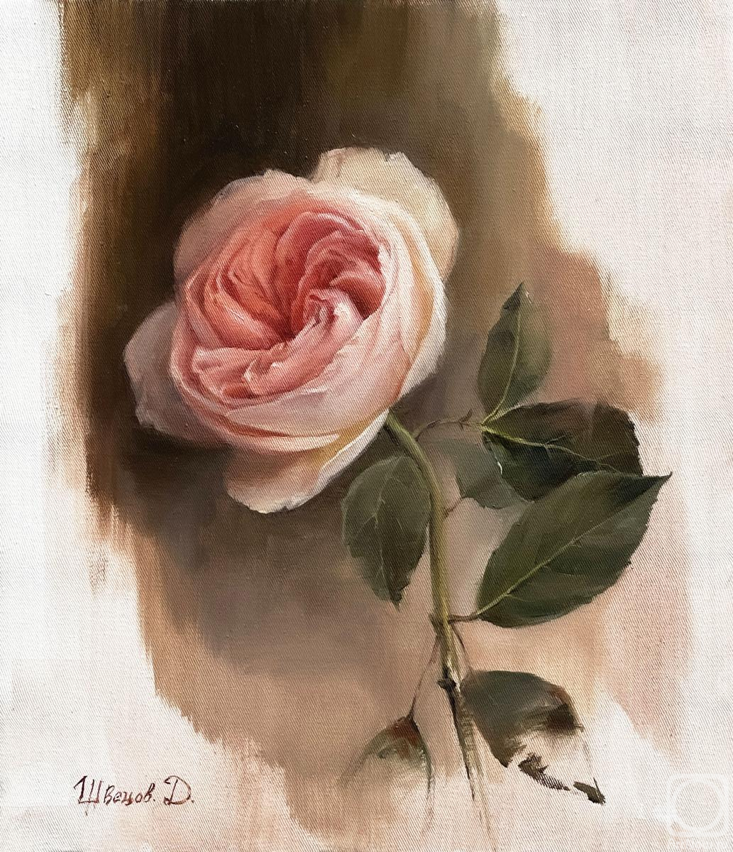 ������� ������ �� ������. ������ �������. ����, ����������� ����