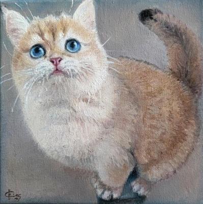 ������� �������. ������� ������� �� �����. ������ �������