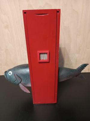 Fish day. Heads and tails