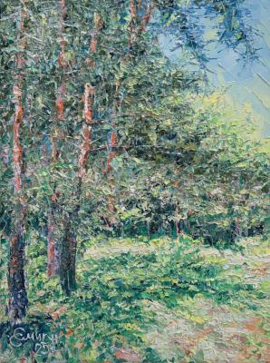 ������ � ������ �����������. ������� ������