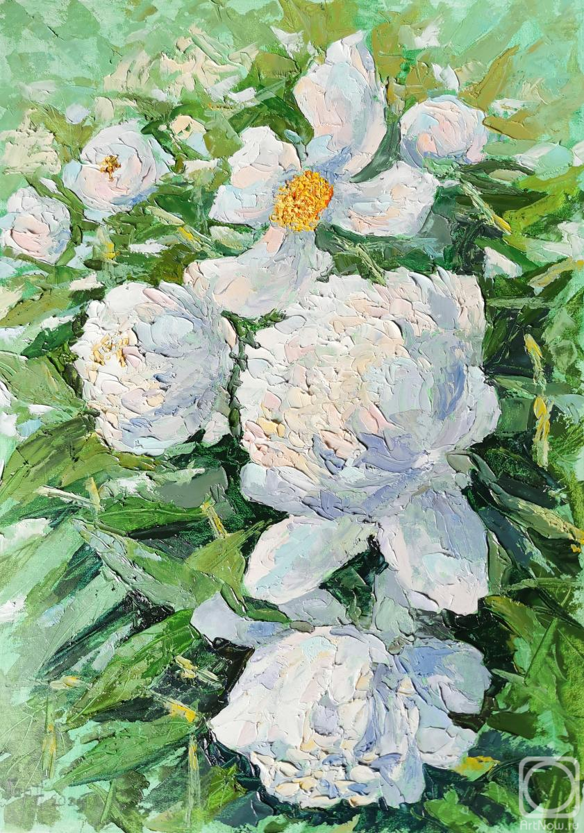 �������. ��������� ����. ����� �����