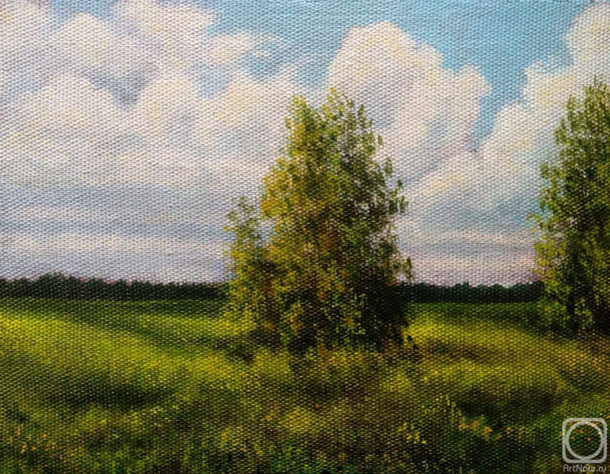 ������� ������ �� ������. ������� ��������. �������� ����