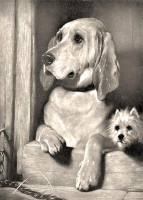 ��� ������ (������ ����). ��������� ������