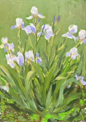 Irises (2). Cheglyakov Andrey