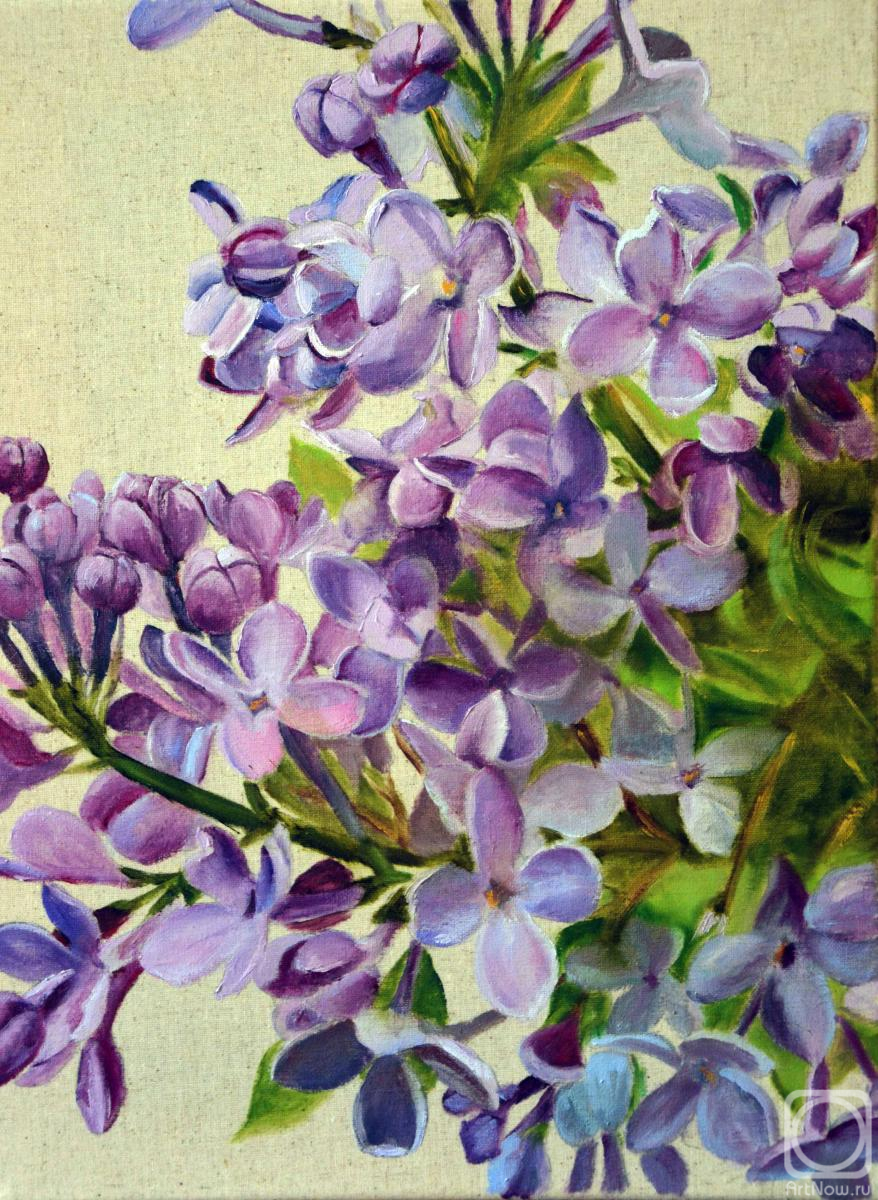 ������� ������ �� ������. �������� �����. ������ ������. ����