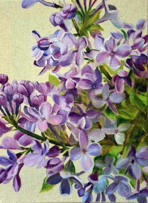 ������ ������. ����. �������� �����