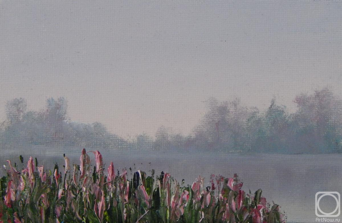 ������� ������ �� ������. ������ �������. ����� � ����