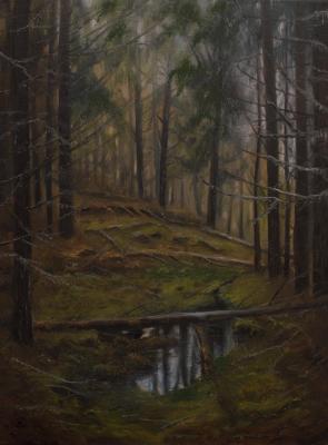 ������� ������