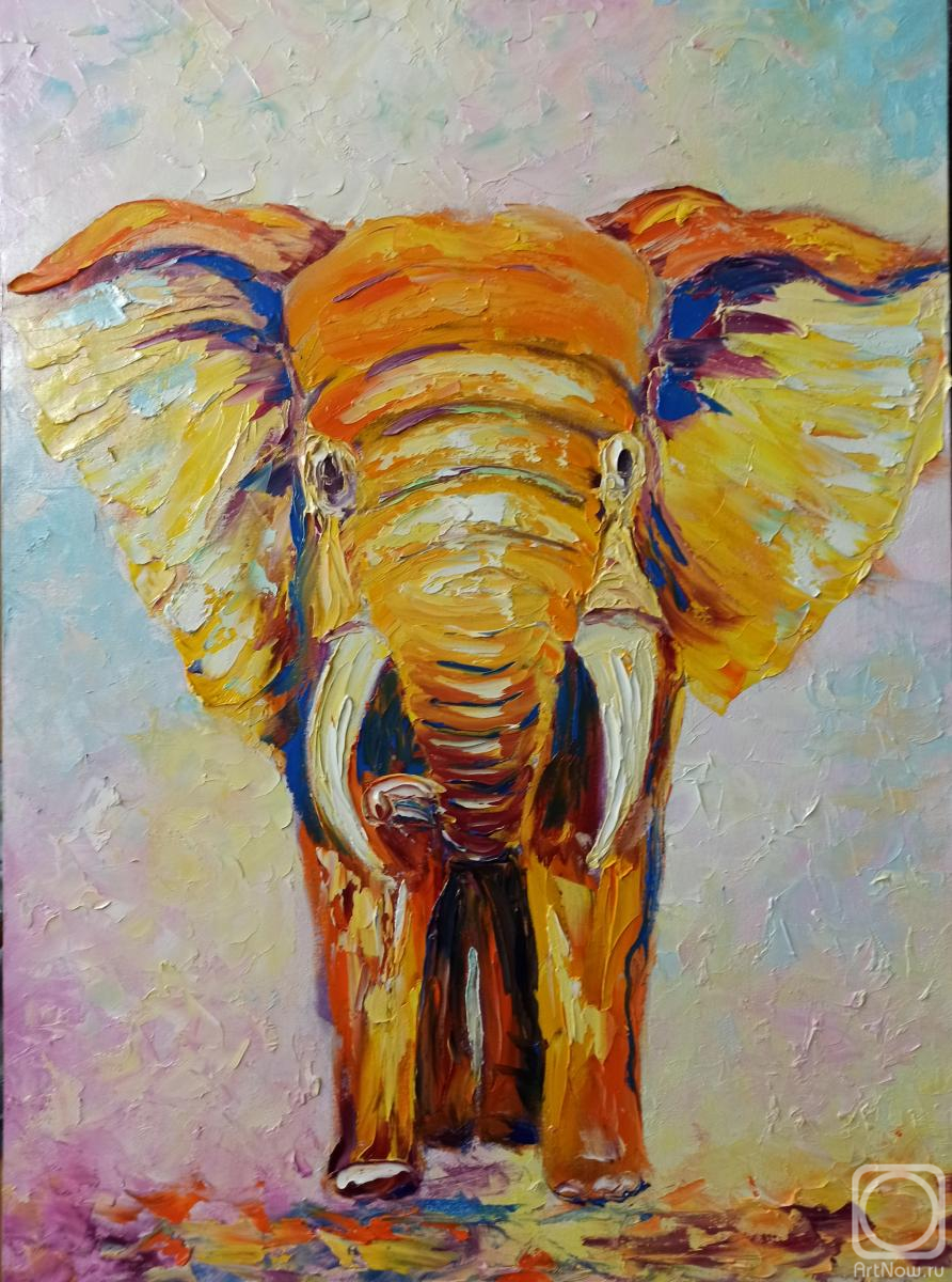 ������� ������ �� ������. ������ �������. ������ ����