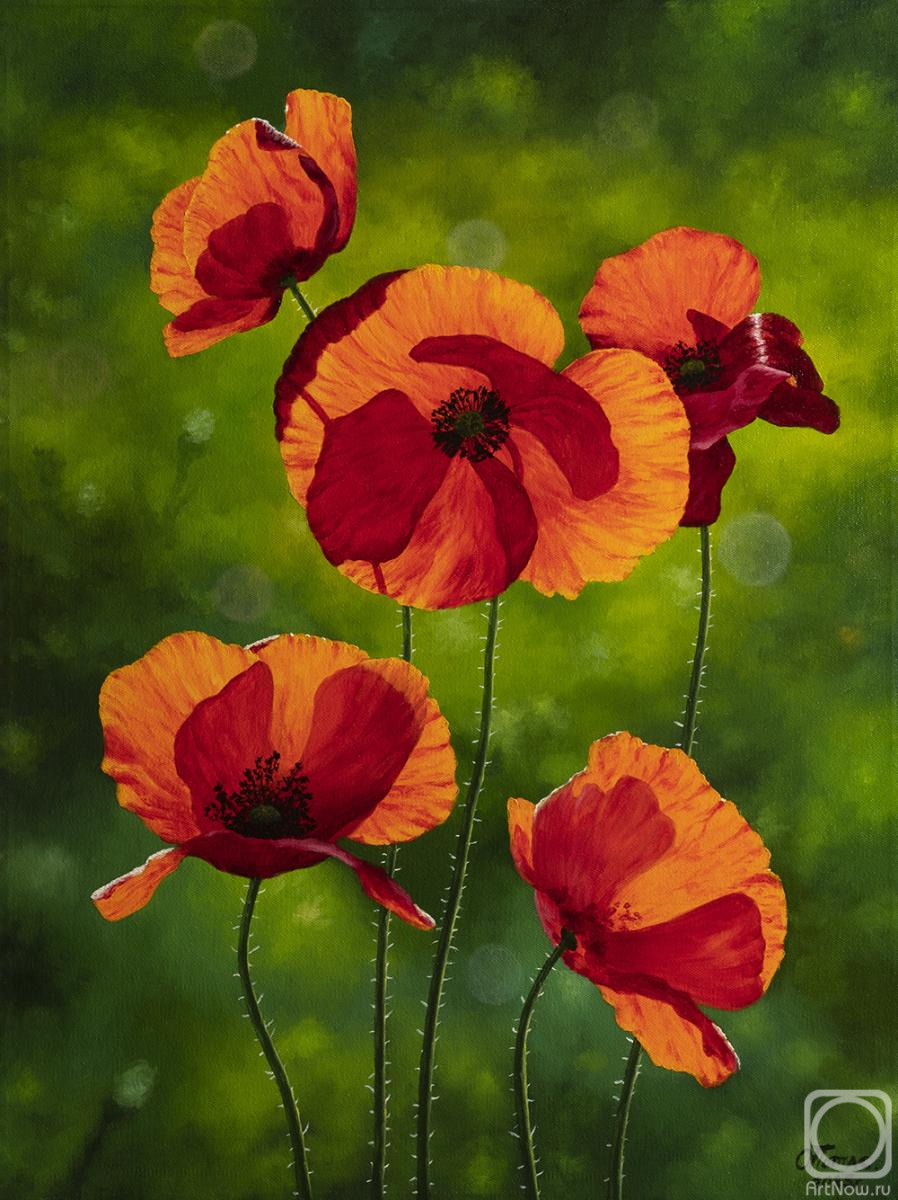 ������� ������ �� ������. ����� ����. ���� 2