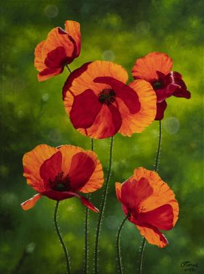 ���� 2. ����� ����