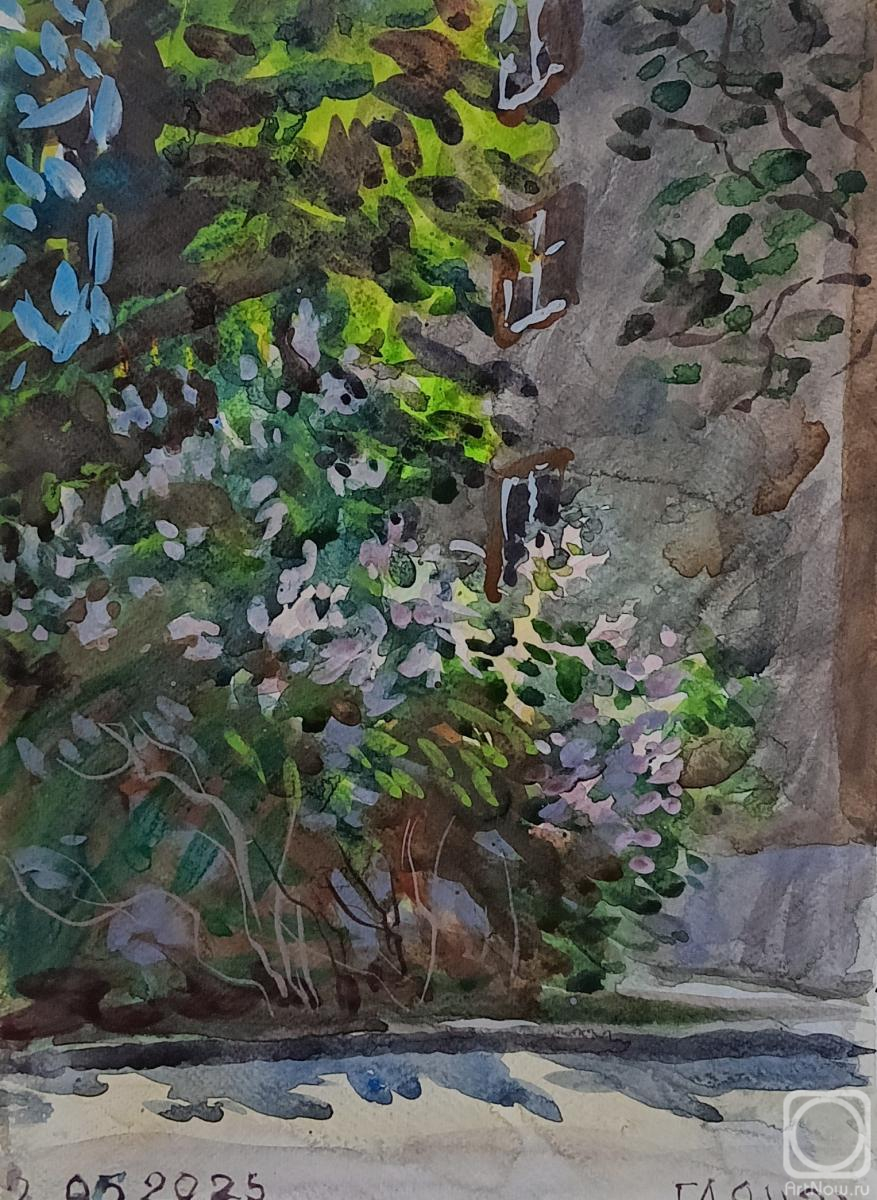 �������. ������������� �����. ���������� ������ �� �����