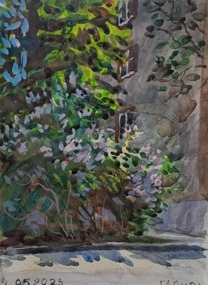 ���������� ������ �� �����. ������������� �����