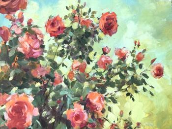 ����� ���. ������ ��������