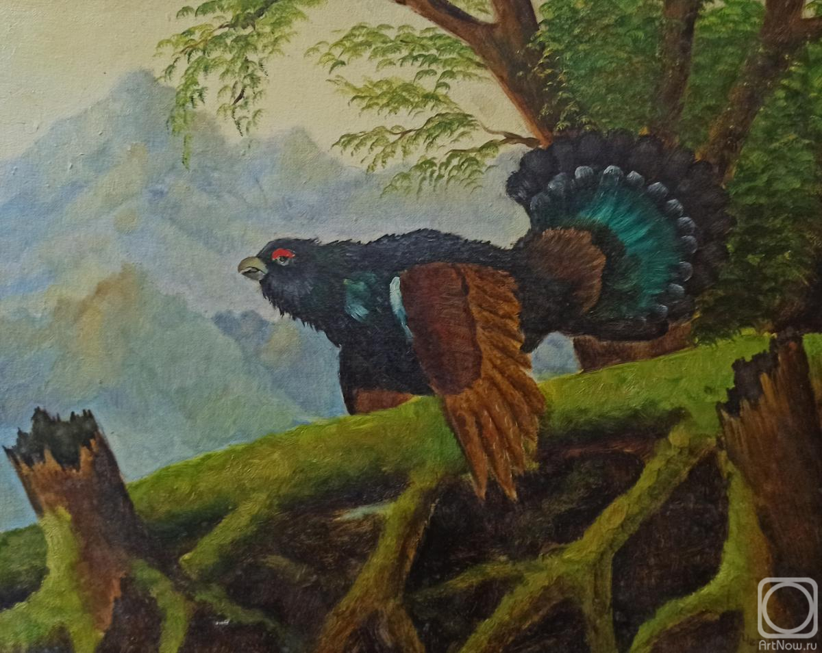 ������� ������ �� ������. ������ �������. �������