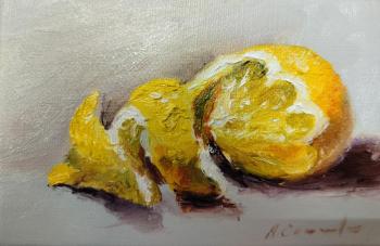 ����� (������ ������). ������ ���������