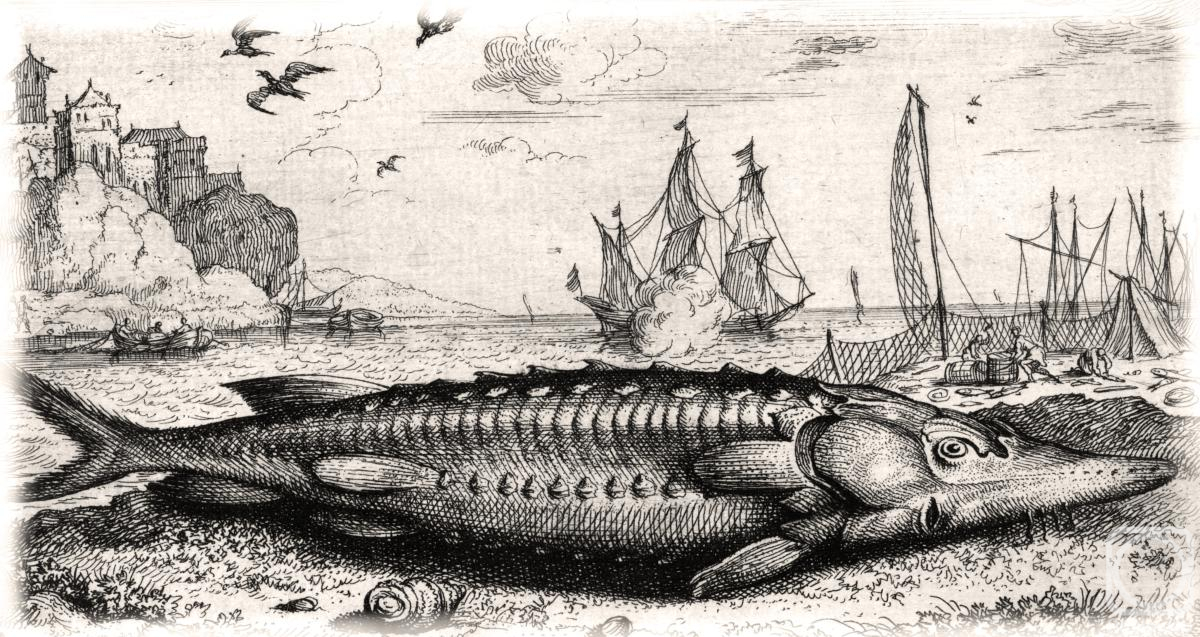 �������. ��������� ������. �����