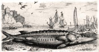 �����. ��������� ������