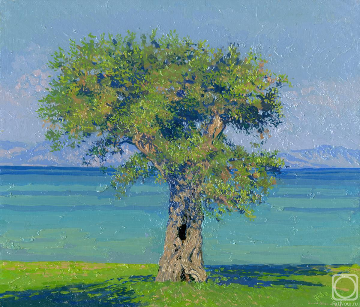 ������� ������ �� ������. ����� ����. ��������� ������ �� ��������� ������