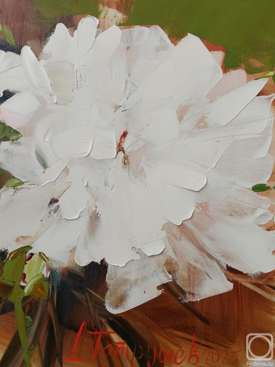 ������� ������ �� ������. �������� �������. ��� ��������