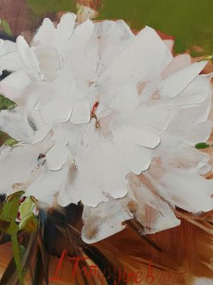 ��� ��������. �������� �������