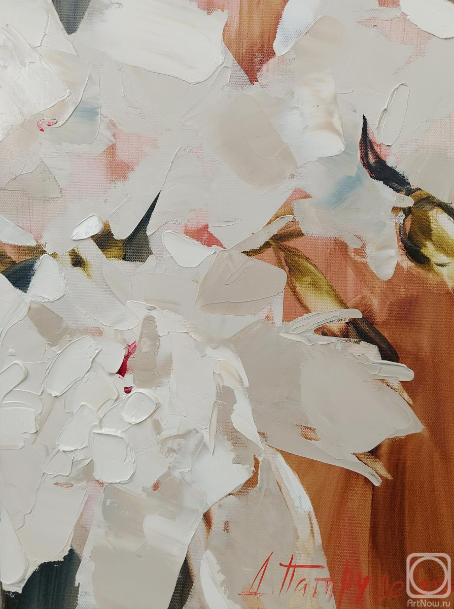 ������� ������ �� ������. �������� �������. ��������