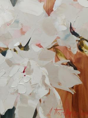 ��������. �������� �������