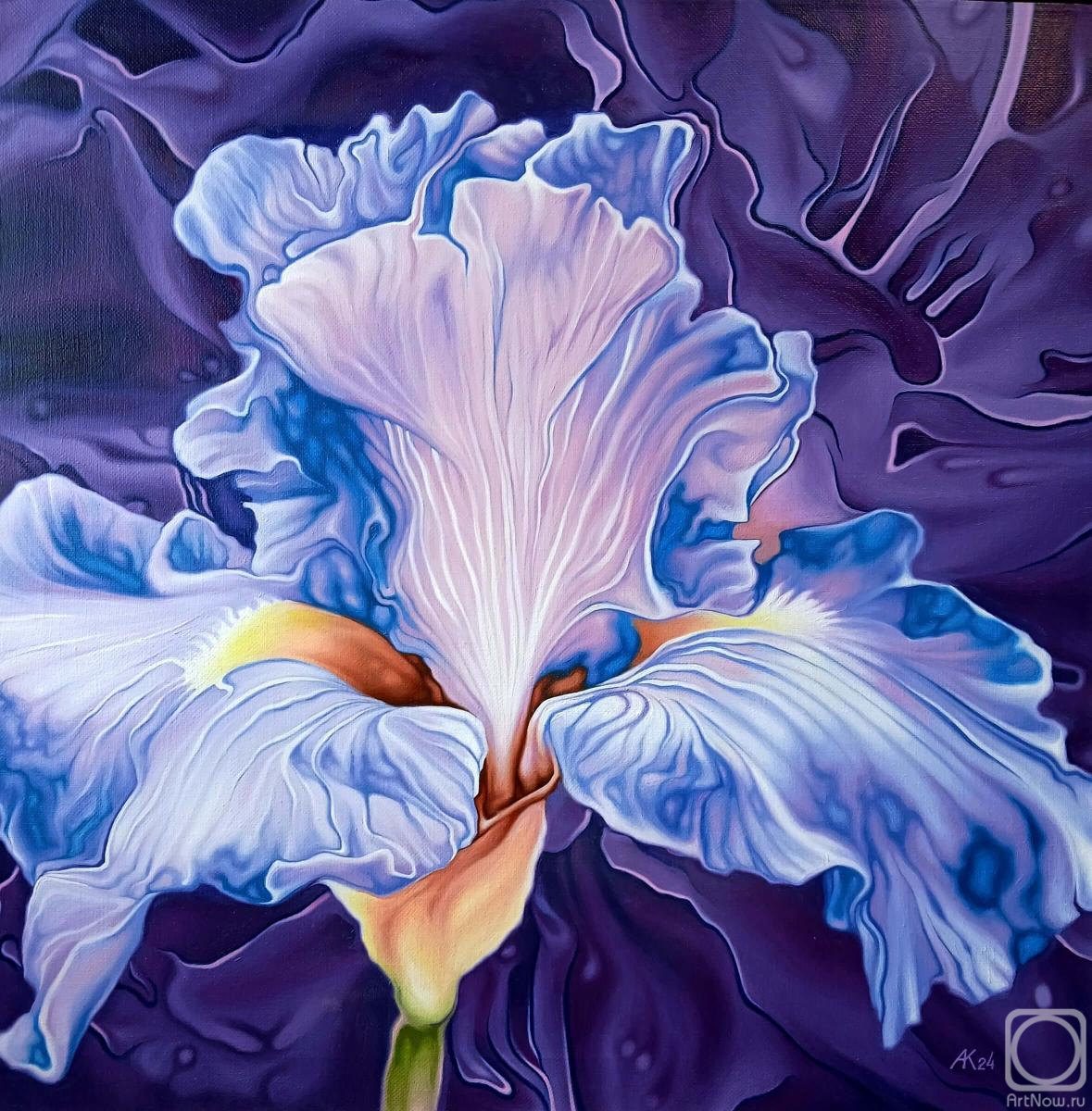 ������� ������ �� ������. ����� ������. ����