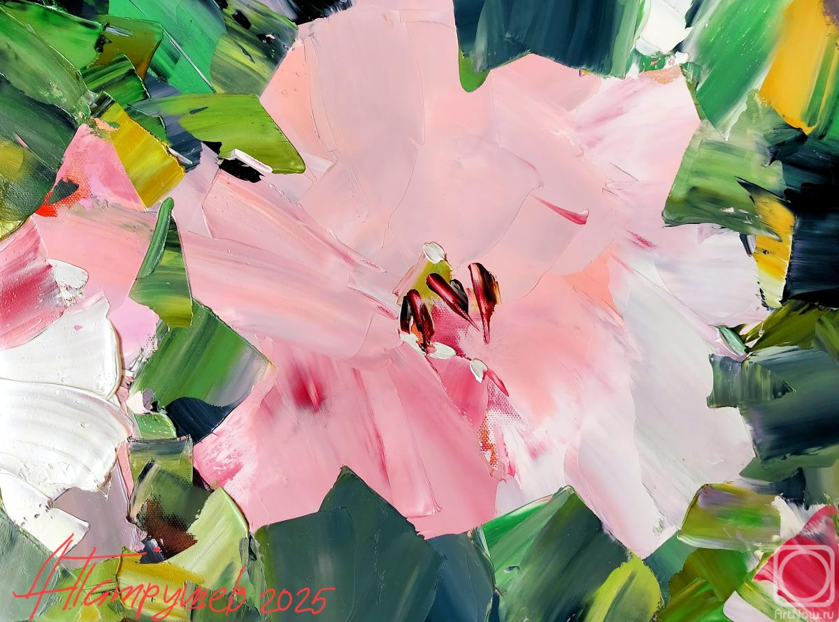 ������� ������ �� ������. �������� �������. Satomi