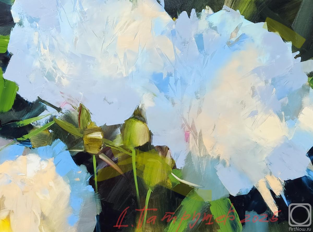 ������� ������ �� ������. �������� �������. ��������� ������