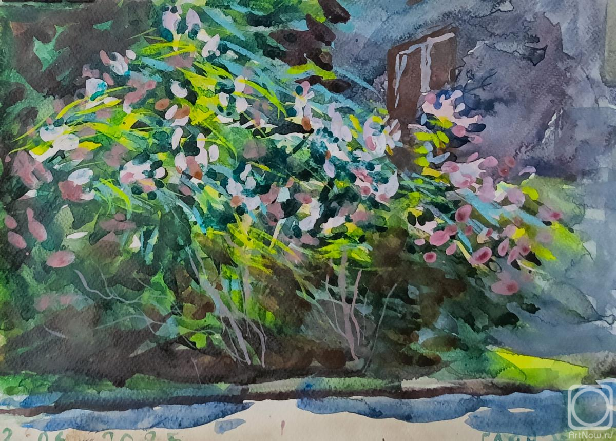 �������. ������������� �����. ���������� ������ �� ����� - 2