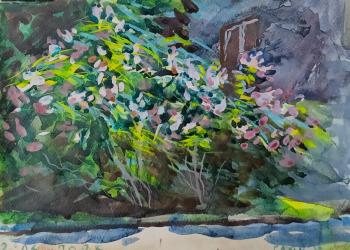 ���������� ������ �� ����� - 2. ������������� �����