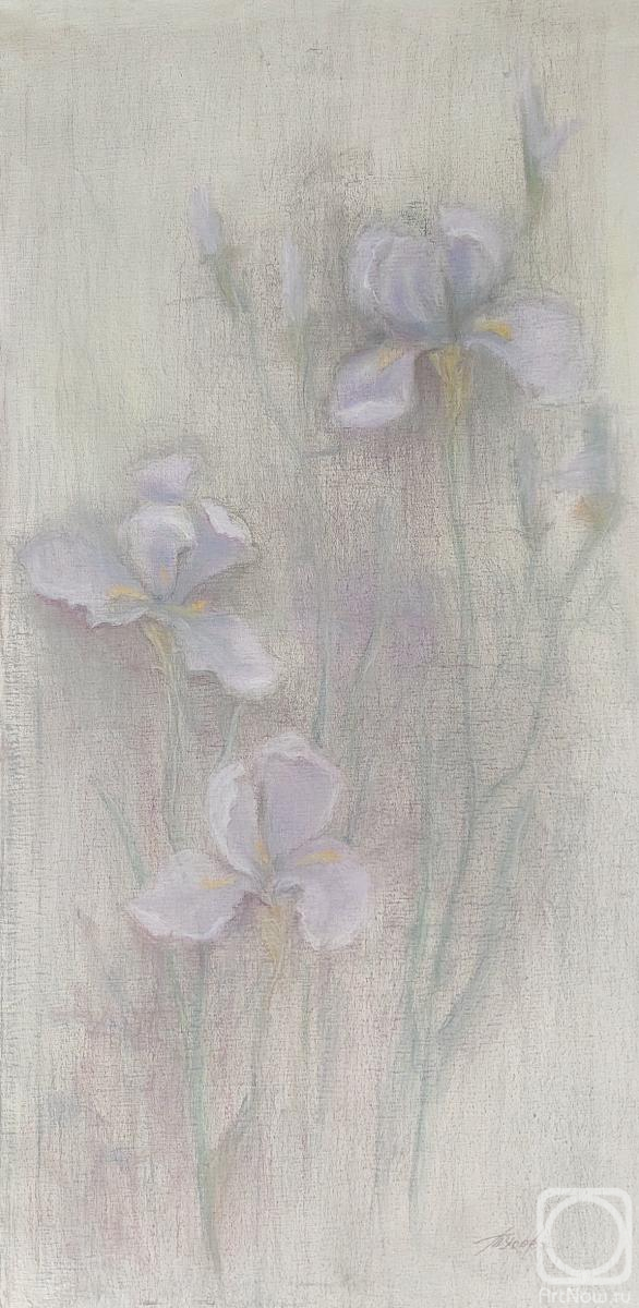 Usova Tatyana. Untitled