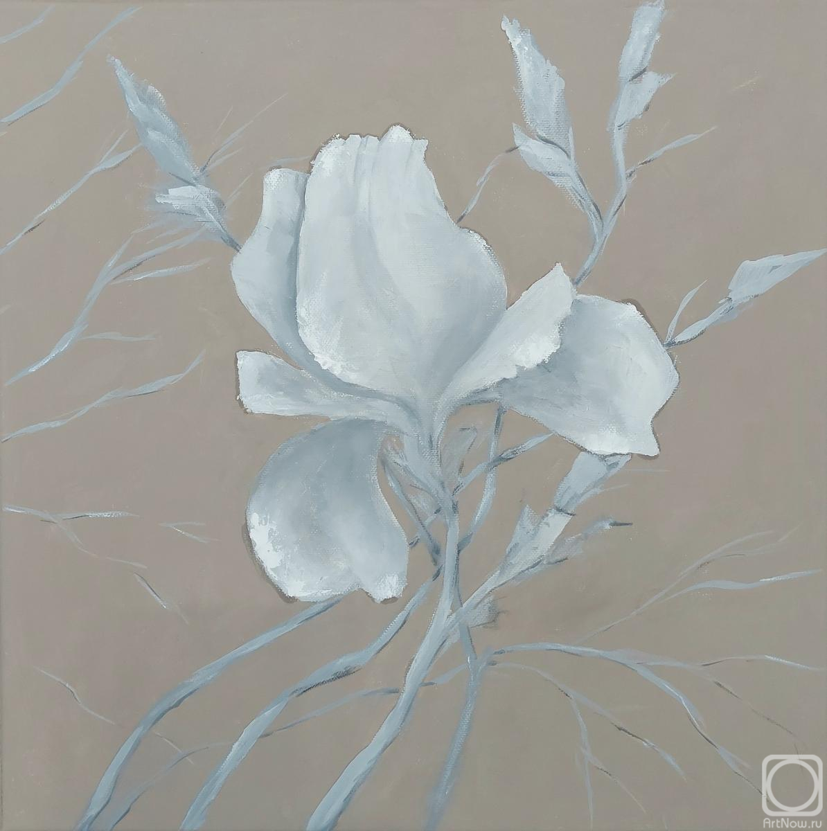 �������. ����� �������. ���� �������� 1