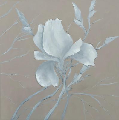 ������� ����� �������� 1�