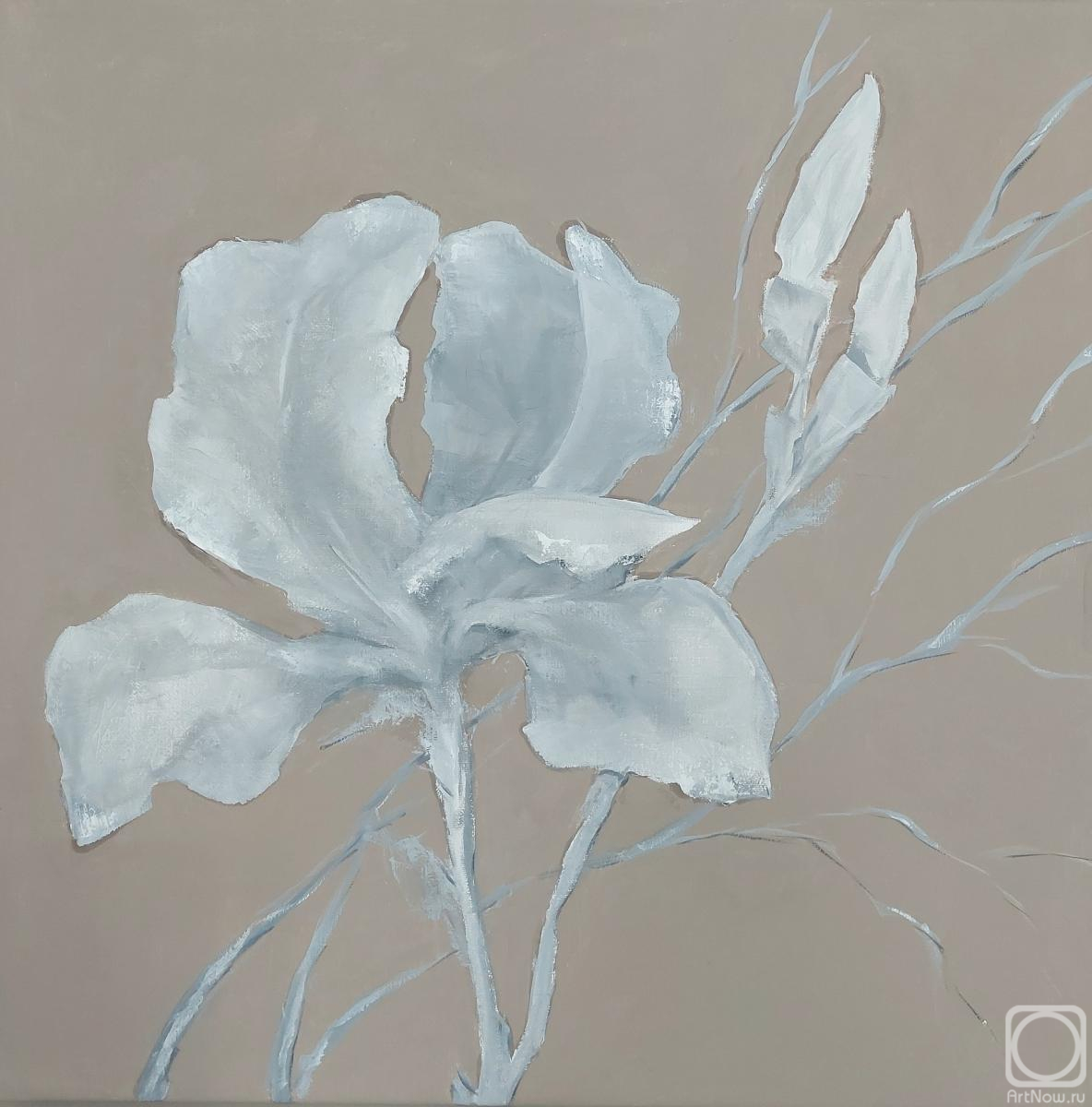 �������. ����� �������. ���� �������� 2