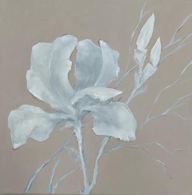 ������� ����� �������� 2�