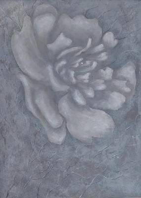 ������� ����� 2�