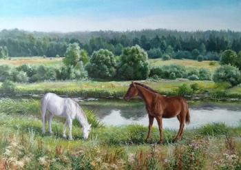 ������� ��������� 2. ���� ����