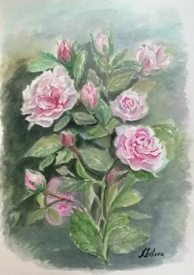 ������� ����������� ����