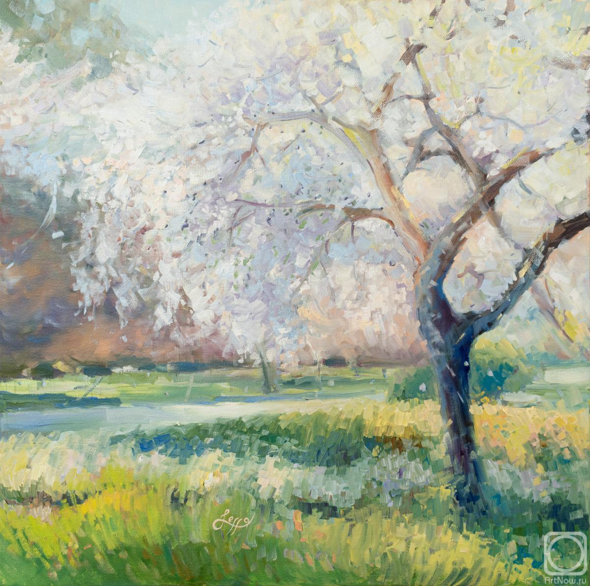 ������� ������ �� ������. �������� �����. ���� �����