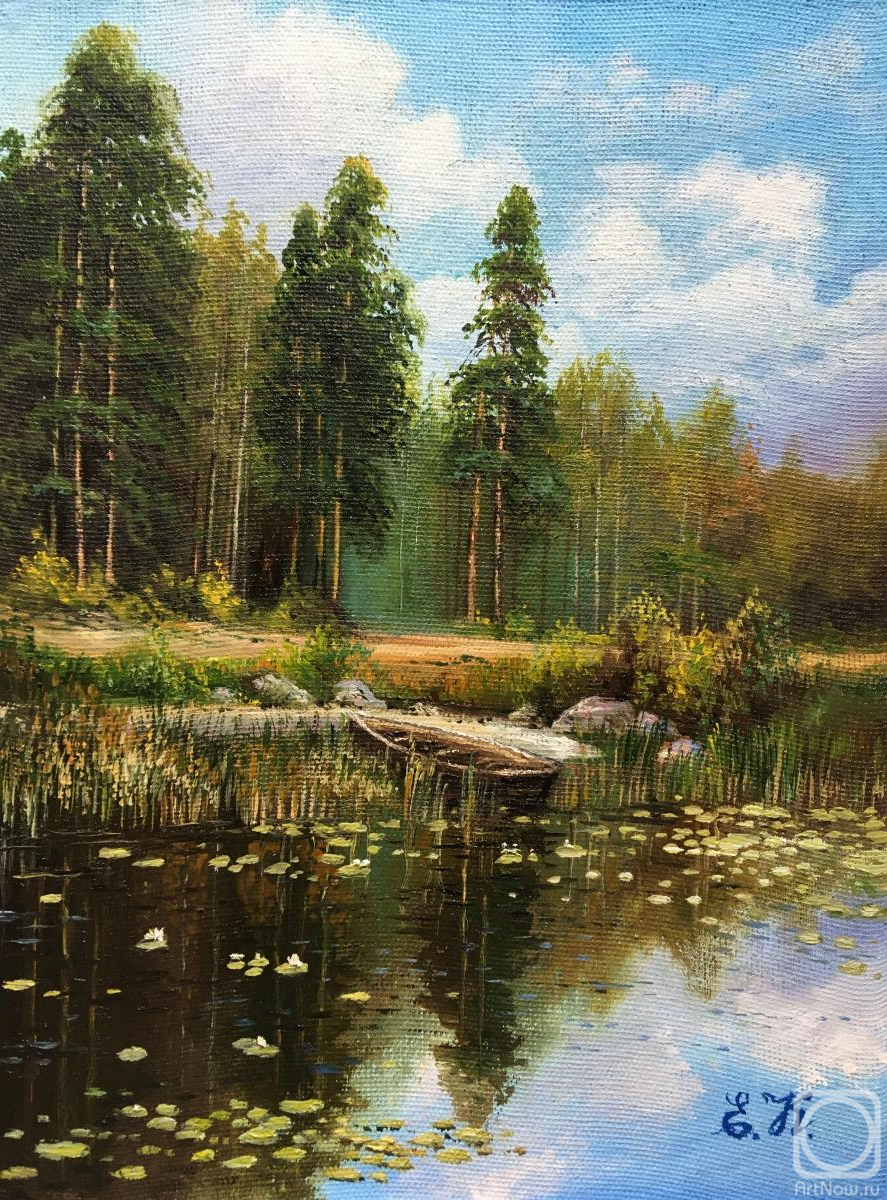 Korableva Elena. Summer. Forest