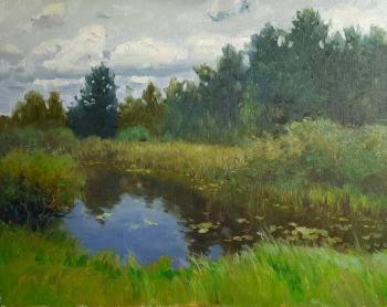 Overgrown Pond (Light Interior Art). Ryzhenko Vladimir