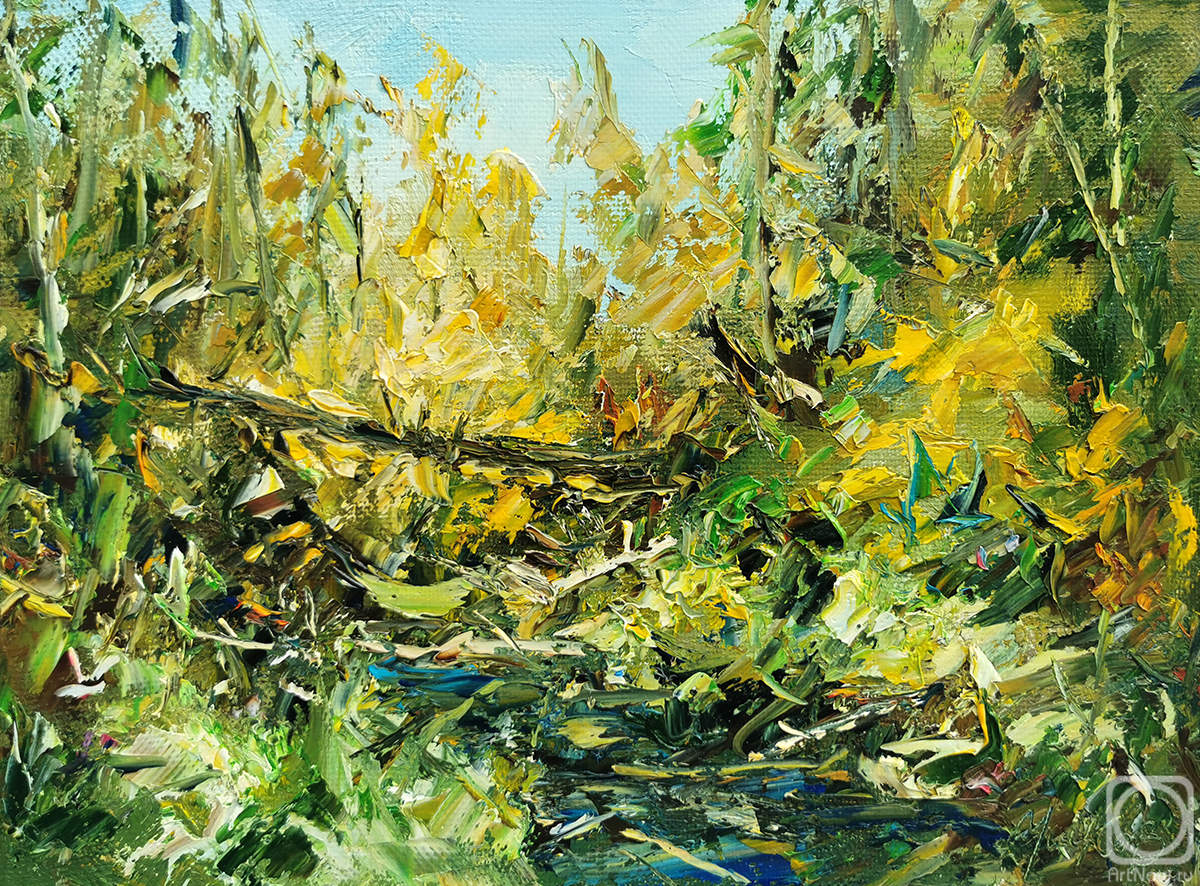 Ushkov Valeriy. Sammer etude