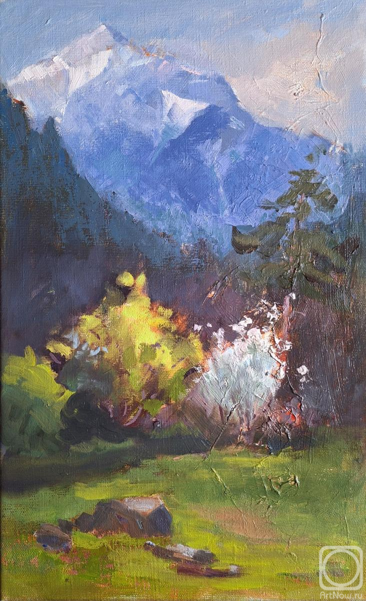 ������� ������ �� ������. ������ ������. ����� � �����