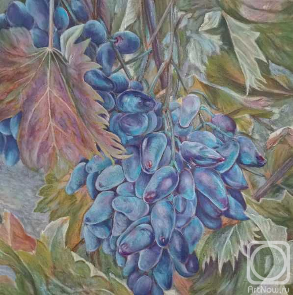 ������� ������ �� ������. �������� �����. ����� ��������