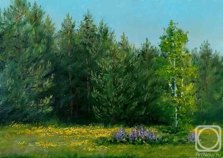 ������� ������ �� ������. �������� ���������. �������