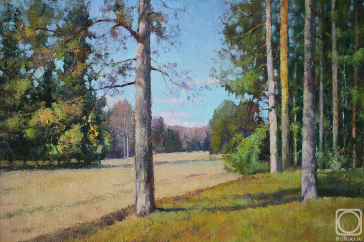 Sapozhnikov Yura. Untitled