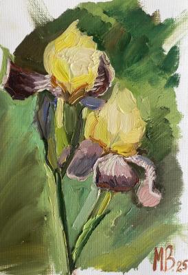 ������� �������