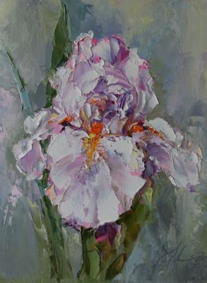 ����. ��������� ������